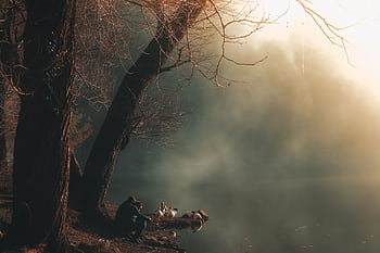 A serene morning in a foggy forest with a man and ducks by the lake shore. HD wallpaper