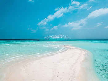 Nature, Beach, Sand, Horizon, Coast HD wallpaper
