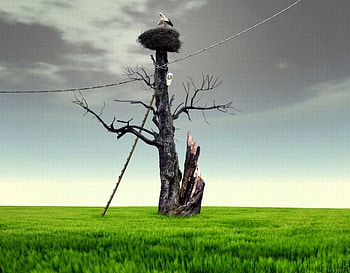 Birds House, cool, birds, , house HD wallpaper