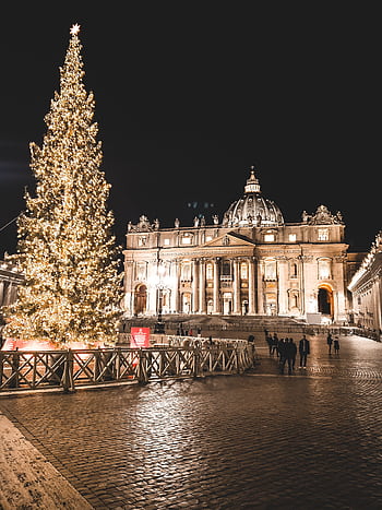 Illuminated St. Peter's Basilica and Christmas tree at night in Vatican City, showcasing festive holiday spirit. HD phone wallpaper