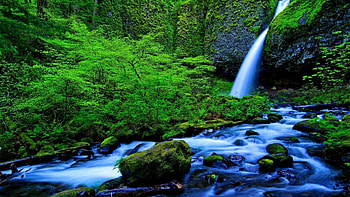 Waterfall with Green Moss, moss, green, trees, waterfall, nature, forest, stones, stream HD wallpaper