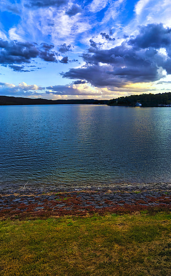 Nature, Rivers, Horizon, Coast, Forest HD phone wallpaper