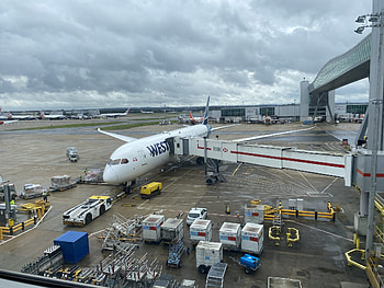 WestJet, Travels, 787-9, Paxex HD wallpaper