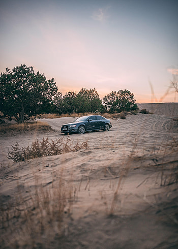 Audi, Trees, Sand, Cars, Car HD phone wallpaper