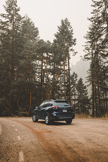 Trees, Nissan, Cars, Crossover, Nissan Rogue, Trip HD phone wallpaper