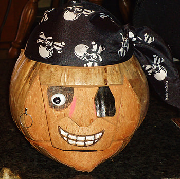Coconut Pirate, fair, coconut, brown, pirate HD wallpaper