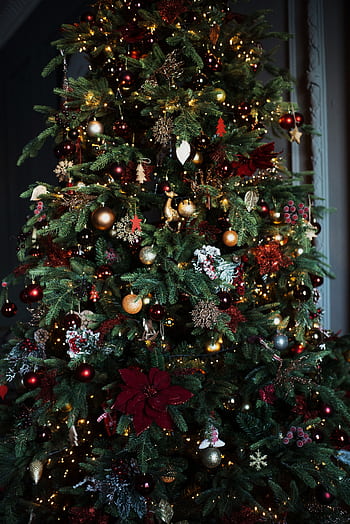 Beautifully decorated Christmas tree with glowing lights and festive ornaments indoors. HD phone wallpaper
