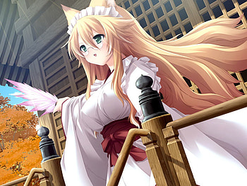 anime neko girl, cool, neko, girl, anime HD wallpaper