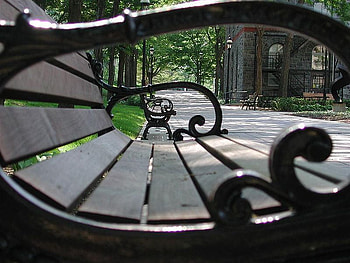 view, bench, nature, park HD wallpaper