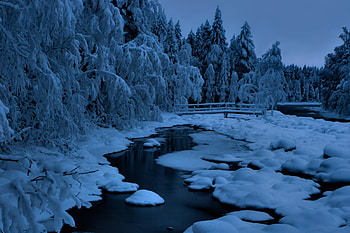 Blue winter, winter, river, snow, nature, ice, tree HD wallpaper