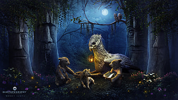 Moonlight, night, blue, animal, wesley desouza, pasare, wolf, owl, moon, fantasy, bear, deskptopography, luna, lantern HD wallpaper