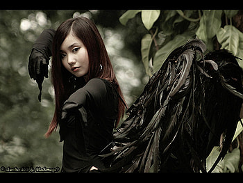 Goth girl, sexy, model, graphy, girl, beautiful, angel, woman, face, female HD wallpaper
