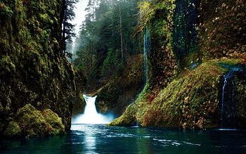 Nature, Rocks, Waterfall, Colors, Color, Moss, Gorge, Mysteriousness, Inscrutability HD wallpaper