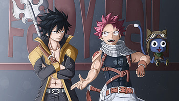 Gray and Natsu, Fairy Tail HD wallpaper