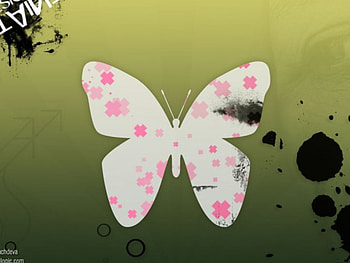 Tainted, pink, squares, ink spots, butterfly HD wallpaper