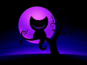 Moon kitten, kitten, digital art, cat, abstract HD wallpaper