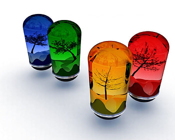 Nature Captured, captured, trees, coloured glasses HD wallpaper