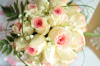 Flowers, Grass, Roses, Bouquet, Tenderness HD wallpaper