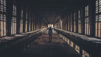 Miscellanea, Miscellaneous, Corridor, Room, Premises, Human, Person, Abandoned HD wallpaper