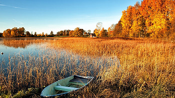 boat in a grass covered lake, boat, house, fall, grass, forest, lake HD wallpaper