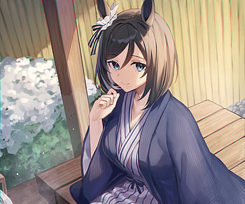 Eishin Flash, Eishin Flash, Anime, Uma Musume: Pretty Derby HD wallpaper