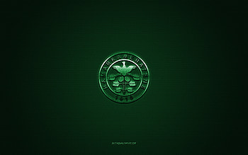 Hamarkameratene, Norwegian football club, green logo, green carbon fiber background, Eliteserien, football, HamKam, Norway, Hamarkameratene logo HD wallpaper
