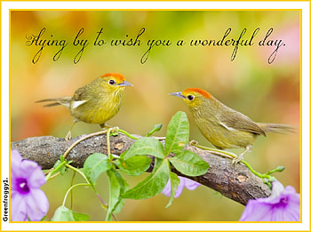 WONDERFUL DAY, DAY, COMMENT, CARD, WONDERFUL HD wallpaper