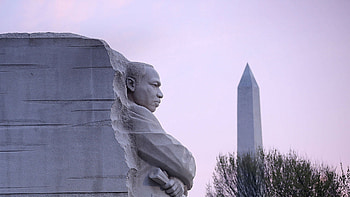 Martin Luther King Jr., Honoring legacy, Microsoft tribute, Hub collection HD wallpaper