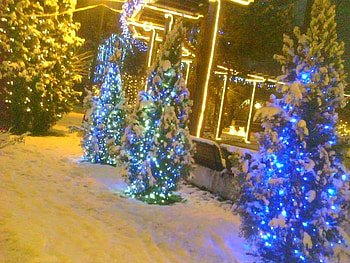 happy cristmas, winter, nature, cristmas, snow HD wallpaper