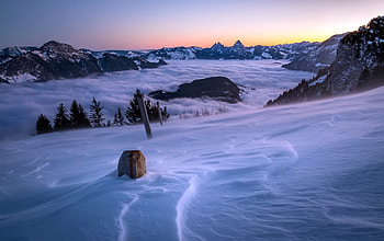 Winter Snow, grass, Nature, Winter, Snow HD wallpaper