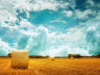 Landscape, Fields, Clouds HD wallpaper