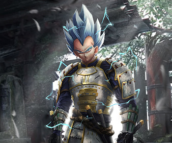 Vegeta, Dragon Ball, Samurai, art HD wallpaper