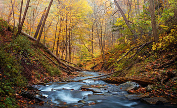 Spencer Creek, Hamilton, Ontario in Fall season, trees, autumn, canada, forest, stones HD wallpaper