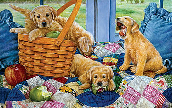 Puppies, dog, animal, basket, puppy, cute, susan brabeau, caine HD wallpaper