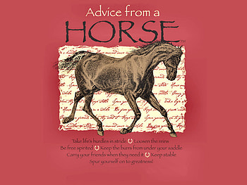 Horse Advice 1, words, horse, art, equine, wisdom, advice, screen HD wallpaper