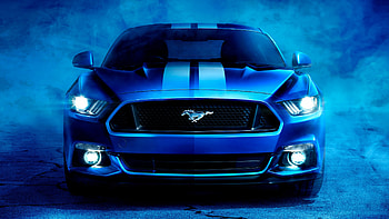 Mustang Shelby, Ford HD wallpaper