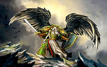 THE WARRIOR, shield, wings, feathers, Art, weapon, Warhammer, rock, warrior HD wallpaper