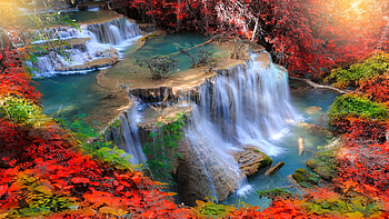 Colorful waterfall, colorful, branches, view, cascades, waterfall, trees, beautiful, forest HD wallpaper