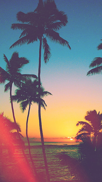 tumblr best. HD phone wallpaper