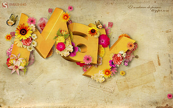 May, orange, spring, beauty, flower HD wallpaper