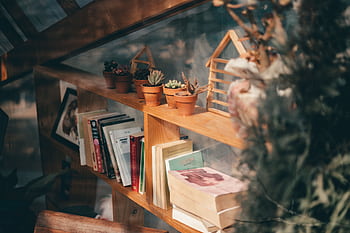 Warm sunlight on a wooden bookshelf filled with books and potted succulents in Dalat, Vietnam. HD wallpaper