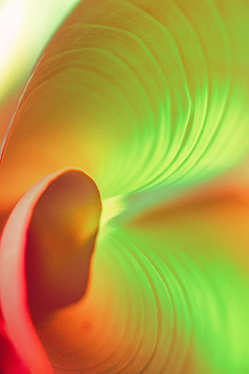 Macro, Gradient, Twisting, Torsion HD phone wallpaper