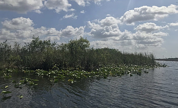 Everglades National Park, Spectacular nature reserve, Worth a visit HD wallpaper