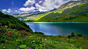 Engstlensee Lake, Switzerland, mountains, alps, hills, clouds, landscpe, flowers, sky HD wallpaper