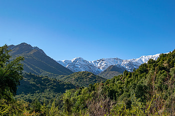 Nature, Trees, Mountains, Hills, Dahl, Distance HD wallpaper