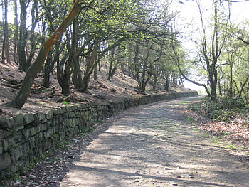 Rivington - Bolton, path, scenic, landscape, trees, forest HD wallpaper