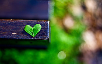 Background, Hearts, Love HD wallpaper