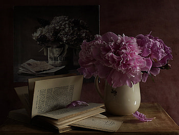 Flowers, mirror, graphy, peony, vase, beautiful, still life, letter, pink, book, petals, nature, lovely HD wallpaper