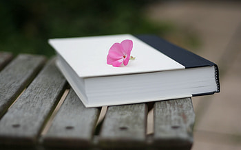 Flower, Miscellanea, Miscellaneous, Surface, Book, Mood HD wallpaper