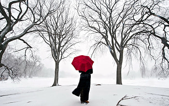 Landscape, People, Winter, Trees, Snow HD wallpaper